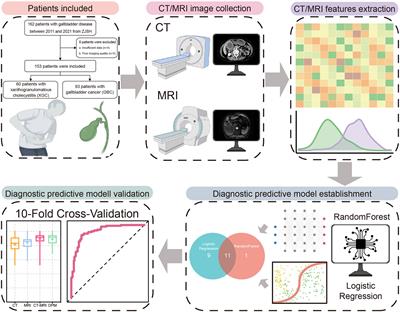 Machine Learning-Based Radiological Features and Diagnostic Predictive Model of Xanthogranulomatous Cholecystitis